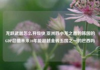 龙跃武器怎么升级快,亚洲四小龙之首的韩国的GDP总值未来10年能超越金砖五国之一的巴西吗