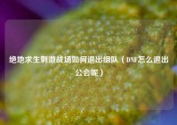 绝地求生刺激战场如何退出组队（DNF怎么退出公会呢）