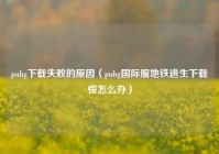 pubg下载失败的原因（pubg国际服地铁逃生下载慢怎么办）