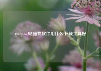 tvapp.so,电脑找软件用什么下载工具好