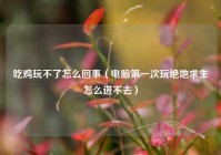 吃鸡玩不了怎么回事（电脑第一次玩绝地求生怎么进不去）