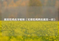 搞笑吃鸡名字昵称（兄弟吃鸡网名搞笑一对）