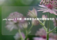 pubg support（主播一般都是怎么解封游戏账号的）