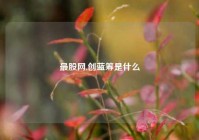 最股网,创蓝筹是什么