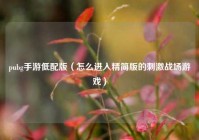 pubg手游低配版（怎么进入精简版的刺激战场游戏）