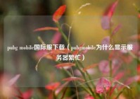 pubg mobile国际服下载（pubgmobile为什么显示服务器繁忙）