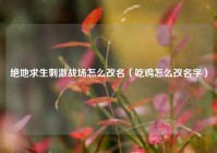 绝地求生刺激战场怎么改名（吃鸡怎么改名字）