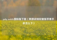 pubg mobile国际版下载（刺激战场轻量版苹果手机怎么下）