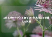 为什么琅琊榜下架了,你希望中央电视台播放什么电视剧