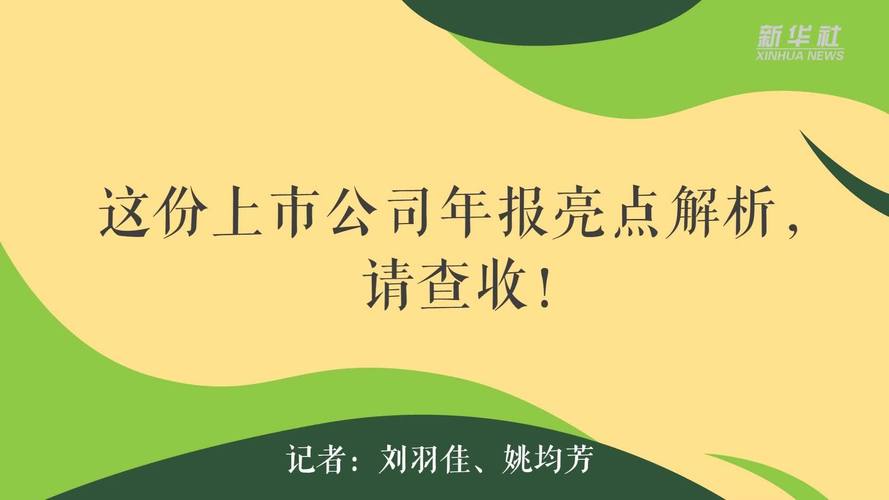 宏达股份年报出了！这份报告透露了哪些重要信息？