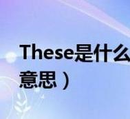 certainly是什么意思怎么读？看完这篇你就懂了！