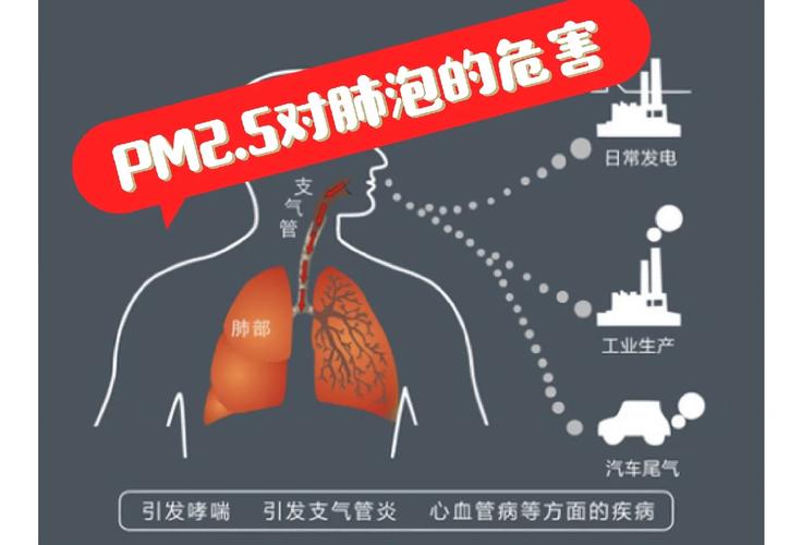 pm2.5是啥意思啊？一篇文章让你了解pm2.5！