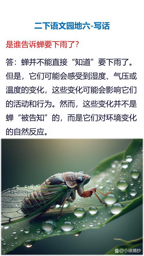 是谁告诉蝉要下雨了？听听专家怎么解释！