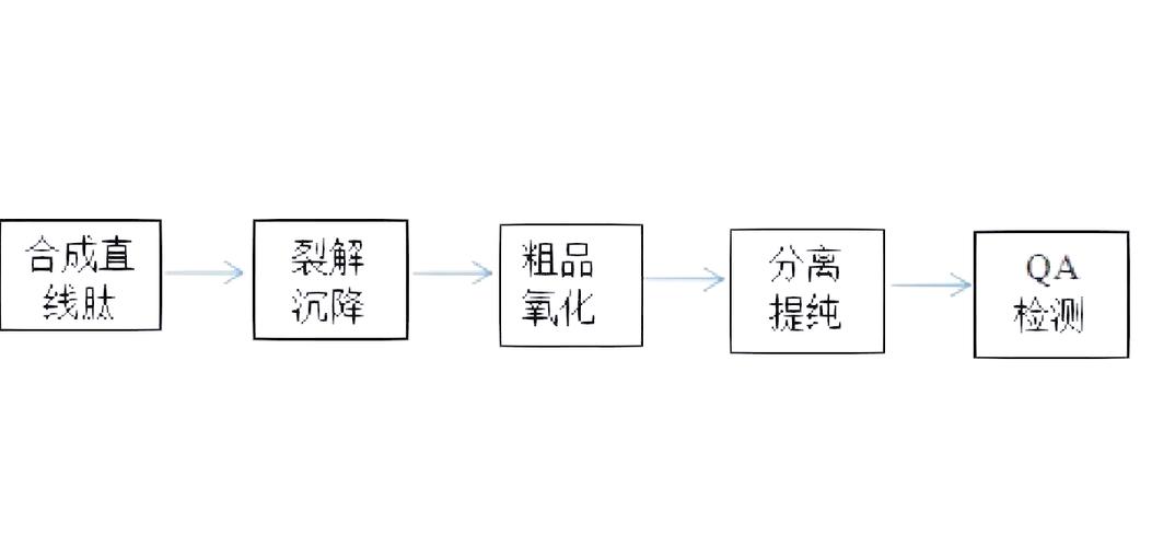 多肽链怎么合成？这几个步骤新手也能快速学会！