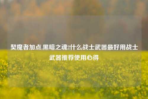 契魔者加点,黑暗之魂2什么战士武器最好用战士武器推荐使用心得