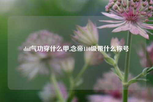 dnf气功穿什么甲,念帝110级带什么称号