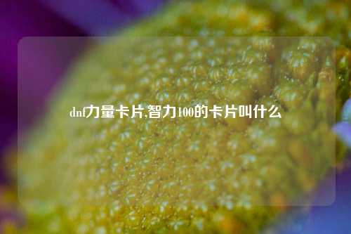 dnf力量卡片,智力100的卡片叫什么