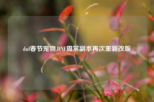 dnf春节宠物,DNF周常副本再次重新改版