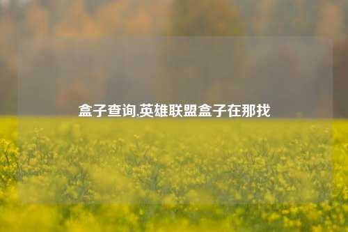 盒子查询,英雄联盟盒子在那找