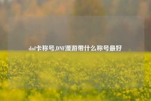 dnf卡称号,DNF漫游带什么称号最好