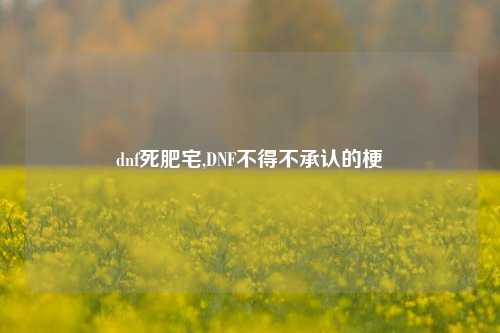 dnf死肥宅,DNF不得不承认的梗