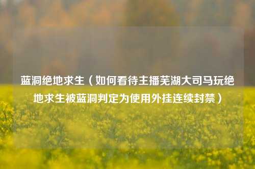 蓝洞绝地求生（如何看待主播芜湖大司马玩绝地求生被蓝洞判定为使用外挂连续封禁）