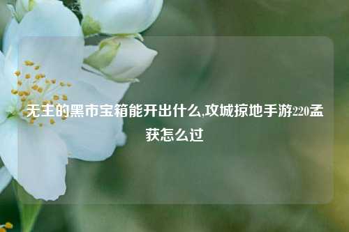 无主的黑市宝箱能开出什么,攻城掠地手游220孟获怎么过