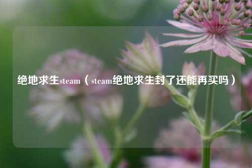 绝地求生steam（steam绝地求生封了还能再买吗）