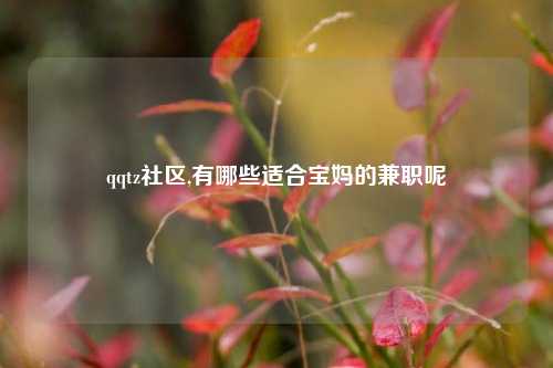 qqtz社区,有哪些适合宝妈的兼职呢