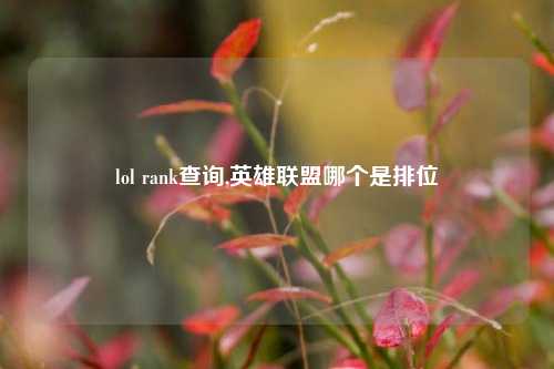 lol rank查询,英雄联盟哪个是排位