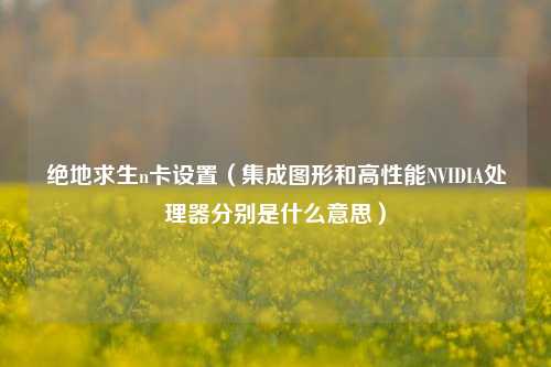 绝地求生n卡设置（集成图形和高性能NVIDIA处理器分别是什么意思）