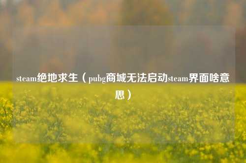 steam绝地求生（pubg商城无法启动steam界面啥意思）