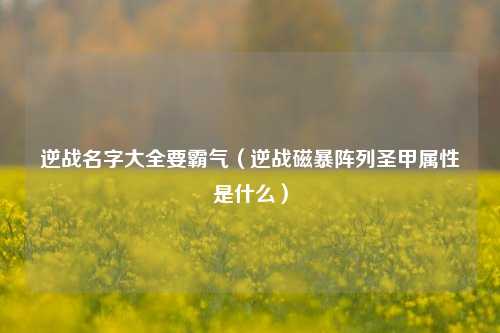 逆战名字大全要霸气（逆战磁暴阵列圣甲属性是什么）