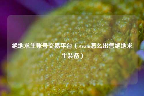 绝地求生账号交易平台（steam怎么出售绝地求生装备）