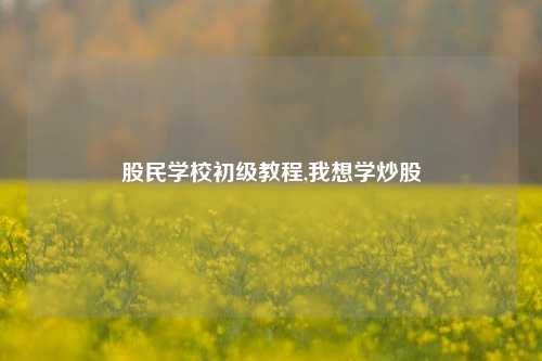 股民学校初级教程,我想学炒股