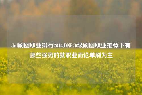 dnf刷图职业排行2014,DNF70级刷图职业推荐下有哪些强势的就职业而论单刷为主