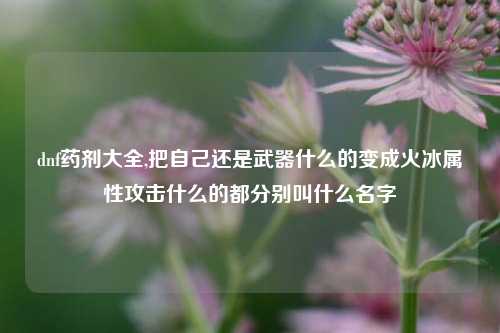 dnf药剂大全,把自己还是武器什么的变成火冰属性攻击什么的都分别叫什么名字