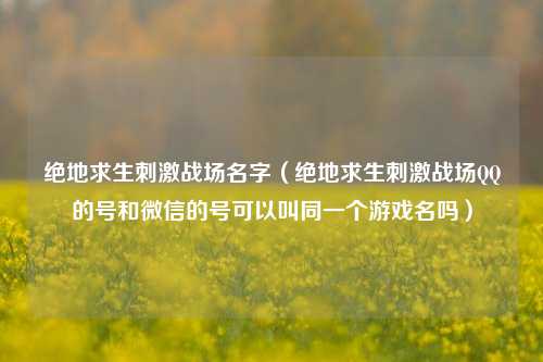 绝地求生刺激战场名字（绝地求生刺激战场QQ的号和微信的号可以叫同一个游戏名吗）