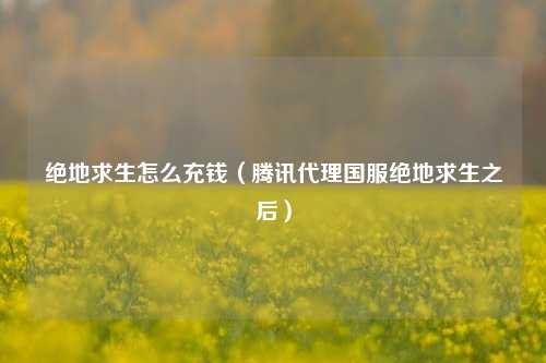 绝地求生怎么充钱（腾讯代理国服绝地求生之后）