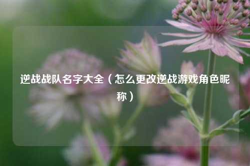 逆战战队名字大全（怎么更改逆战游戏角色昵称）