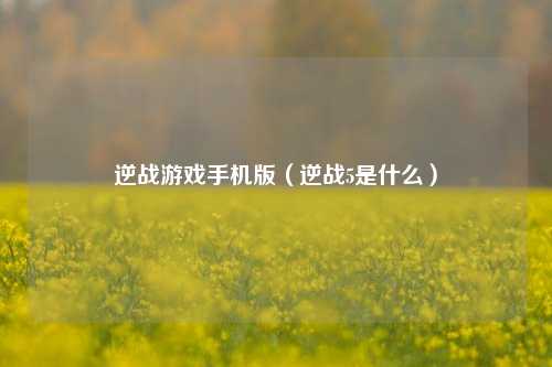 逆战游戏手机版（逆战5是什么）