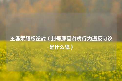 王者荣耀版逆战（封号原因游戏行为违反协议是什么鬼）