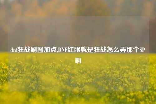 dnf狂战刷图加点,DNF红眼就是狂战怎么弄那个SP啊