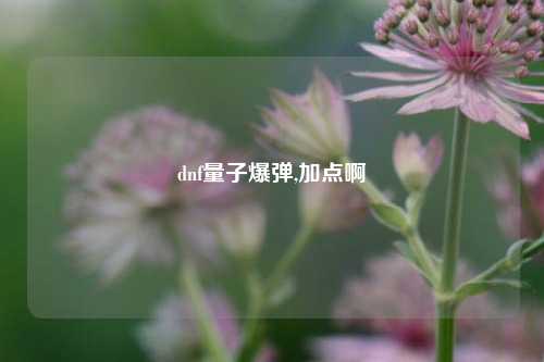 dnf量子爆弹,加点啊