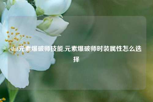 dnf元素爆破师技能,元素爆破师时装属性怎么选择