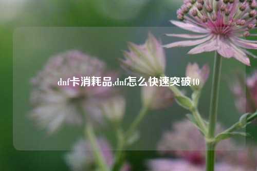 dnf卡消耗品,dnf怎么快速突破40