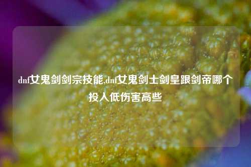 dnf女鬼剑剑宗技能,dnf女鬼剑士剑皇跟剑帝哪个投入低伤害高些