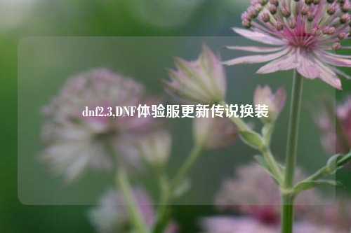 dnf2.3,DNF体验服更新传说换装