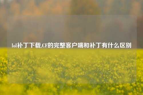 lol补丁下载,CF的完整客户端和补丁有什么区别