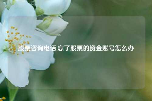 股票咨询电话,忘了股票的资金账号怎么办